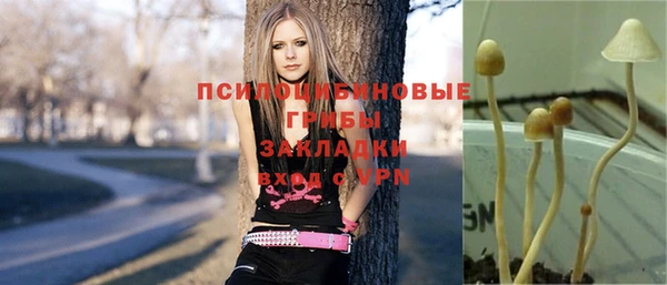 MDMA Premium VHQ Беломорск