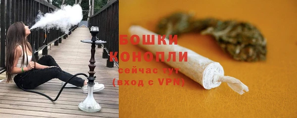 PSILOCYBIN Белокуриха