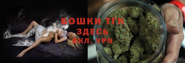 PSILOCYBIN Белокуриха