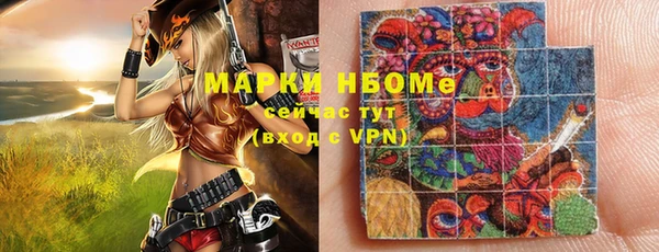 PSILOCYBIN Белокуриха