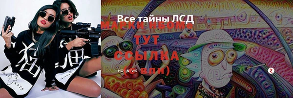 PSILOCYBIN Белокуриха
